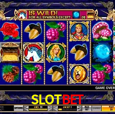 SLOTBET Brasília - VIP Program